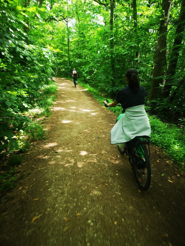 Bike ride in the Fausses-Reposes forest